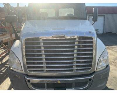 2015 Freightliner Cascadia 113 48"L Complete Hood