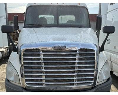2013 Freightliner Cascadia 113 36.5"L White Hood Complete