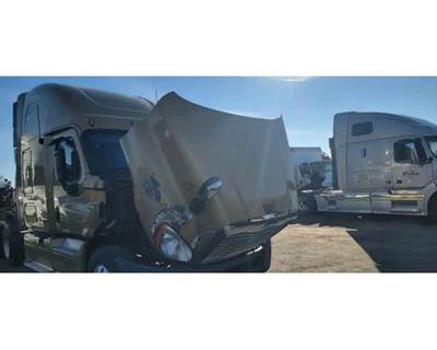 2013 Freightliner Cascadia 125 Hood 48"L to Start of Grille
