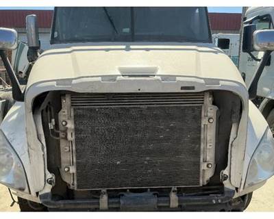 2012 Freightliner Cascadia 125 48"L Complete Hood