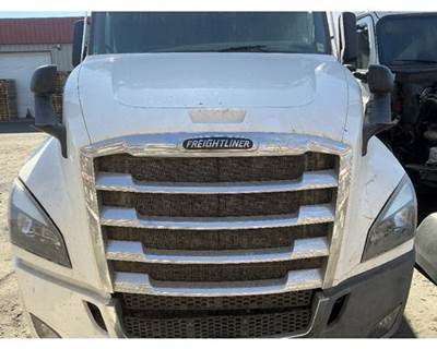 Used 52"L Hood for 2023 Freightliner Cascadia 126