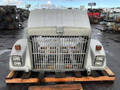 International F9370 Hood for a International F-9370