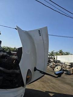 International RH613 Hood