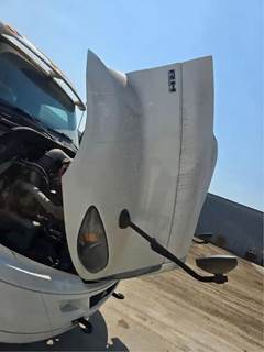 International RH613 Hood