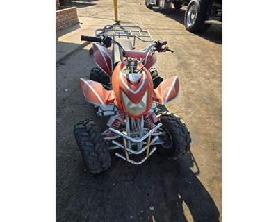 2007 JINYUN COUNTY XIANGYUAN INDUSTRY CO qUAD
Engine: 110 cc
Engine Family