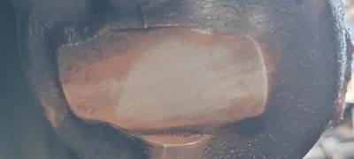 TRW/ROSS THP60010 Steering Gear / Rack for a Freightliner Cascadia 125