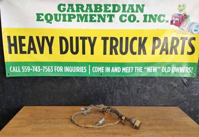 3176B Engine Wiring Harness, 40 PIN, Part# 1172763,     All Wiring Harnesses