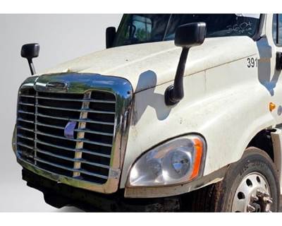 2015 Freightliner Cascadia Hood, OEM # A17-15340-012 / A17-15340-015