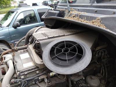 Freightliner Cascadia 125 Air Cleaner / Air Filter Housing