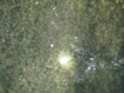 Meritor-Rockwell RS15120 Rear Axle Housing