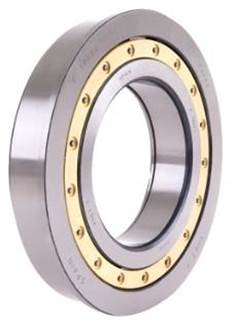 Dana Bearing for a Dana ALL