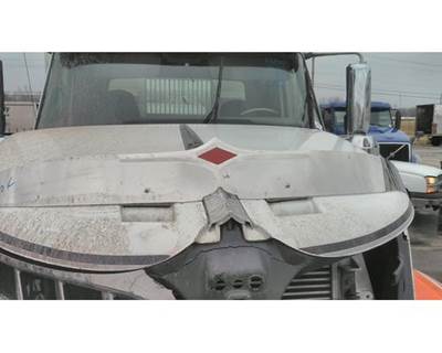 2011 International LoneStar Hood-Mounted Stainless Bug Deflector