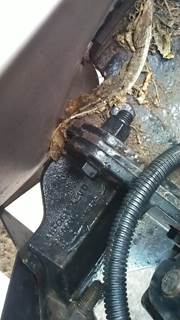 Peterbilt 382 Right Front Bumper Bracket