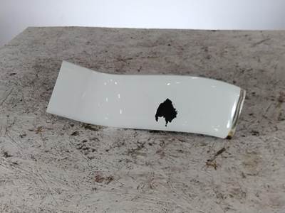 International LT Left Cab Exterior Panel