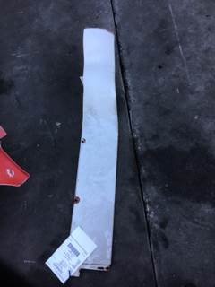 Peterbilt 587 Left Cab Exterior Panel