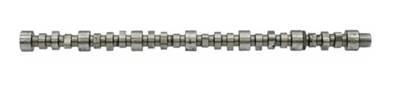 Cummins ISX15 Camshaft