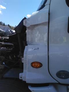 Freightliner Cascadia 125 Left Cowl