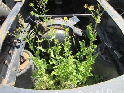 Alliance RT40-4FR358 Cutoff for a Freightliner FAS II AIRLINER LATE TANDEM