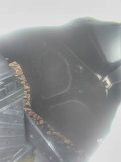 Freightliner Cascadia 126 DEF Tank