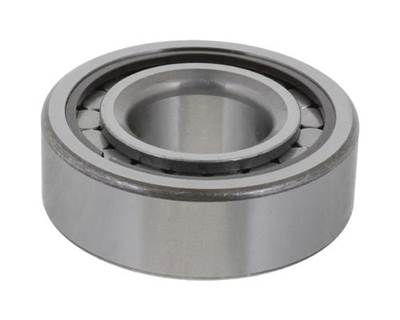 Eaton-Spicer 22060D Differential Pilot Bearing, Replaces Part # 127485