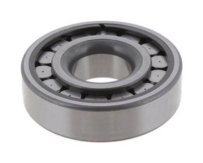 Eaton-Spicer Pilot Bearing, Part # WUB61307UM