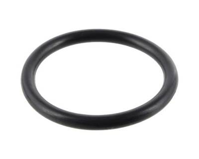 Eaton-Spicer DS402 Thru Shaft O-Ring