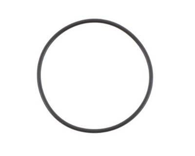 Eaton-Spicer DS402 O'ring for Pump Kit