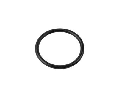Eaton-Spicer Output Shaft O-Ring DS/DP/DT440/460/480