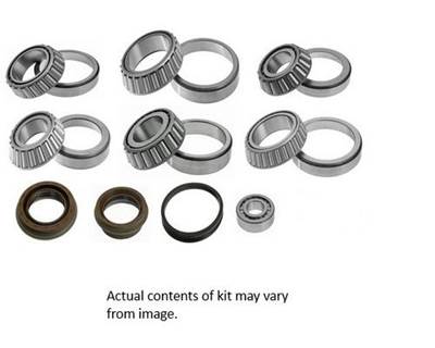 Eaton-Spicer Differential Bearing & Seals Kit DS404P/405P/454P (Pre 6/16/08)