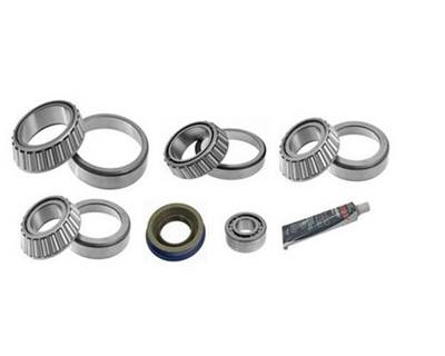 Dana S110/111/130/132 Differential Bearing & Seal Kit