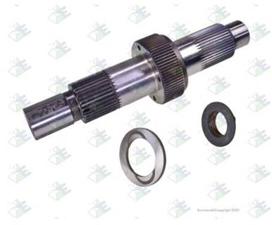 Euroricambi Differential Part for a Euroricambi ALL