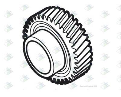 Euroricambi SQHD Idler Gear 29T
