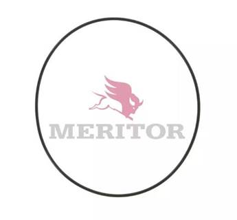 Meritor-Rockwell RD20145 Differential Part