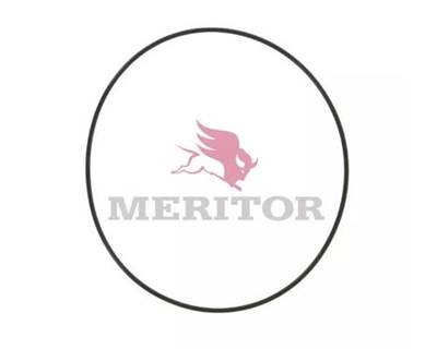 Meritor-Rockwell O-Ring Input Cage to Pump RD20145