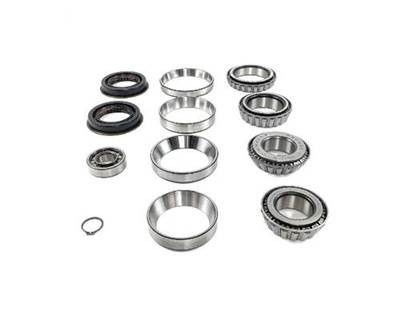 Meritor-Rockwell RS15120 Differential Bearing and Seal Kit