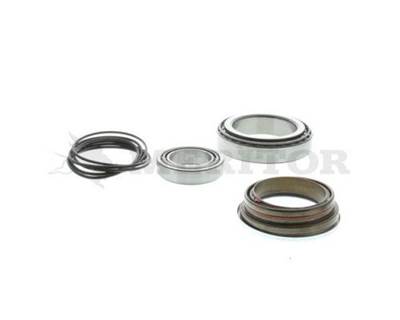 Meritor-Rockwell Bearing & Seal Kit for RS21230