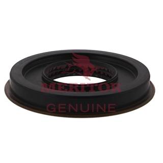 Meritor-Rockwell SSHD Differential Part