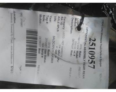 Detroit RS19-4NR556 Rear Differential