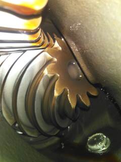 Eaton-Spicer S110R391 Rear Differential