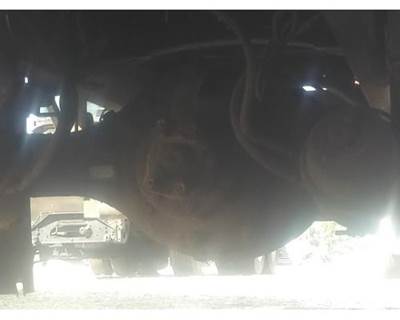 Meritor-Rockwell RS17144R529 Rear Differential