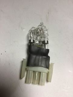 ECCO FLASH BULB 