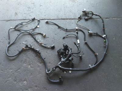 Cummins ISX15 Engine Wiring Harness
