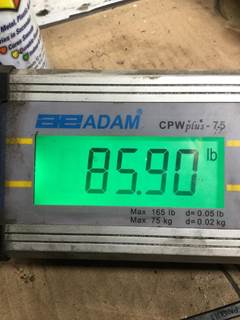 International DT466E Flywheel Housing