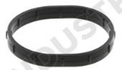 O-RING (OVAL),  OIL MANIFOLD TO BLOCK - DD15 