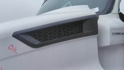 Freightliner Cascadia 116 Left Hood Side Vent