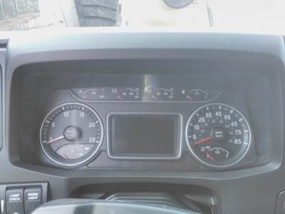 International LT Instrument Panel Cluster
