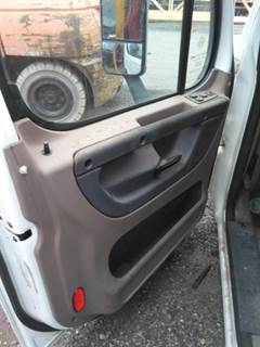 Freightliner Cascadia 125 Left Interior Door Panel