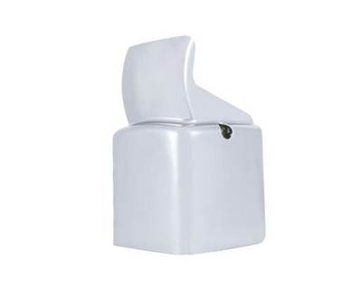 Peterbilt Interior Trim Panel