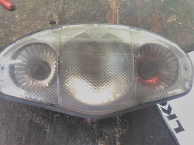 Freightliner Cascadia 113 Right Interior Lighting