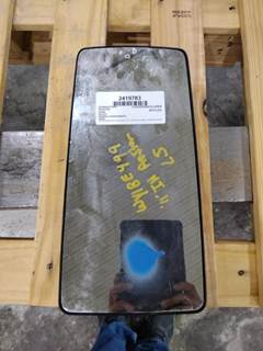 International ProStar Mirror